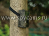 Филин HT-001 фотоловушка на дереве